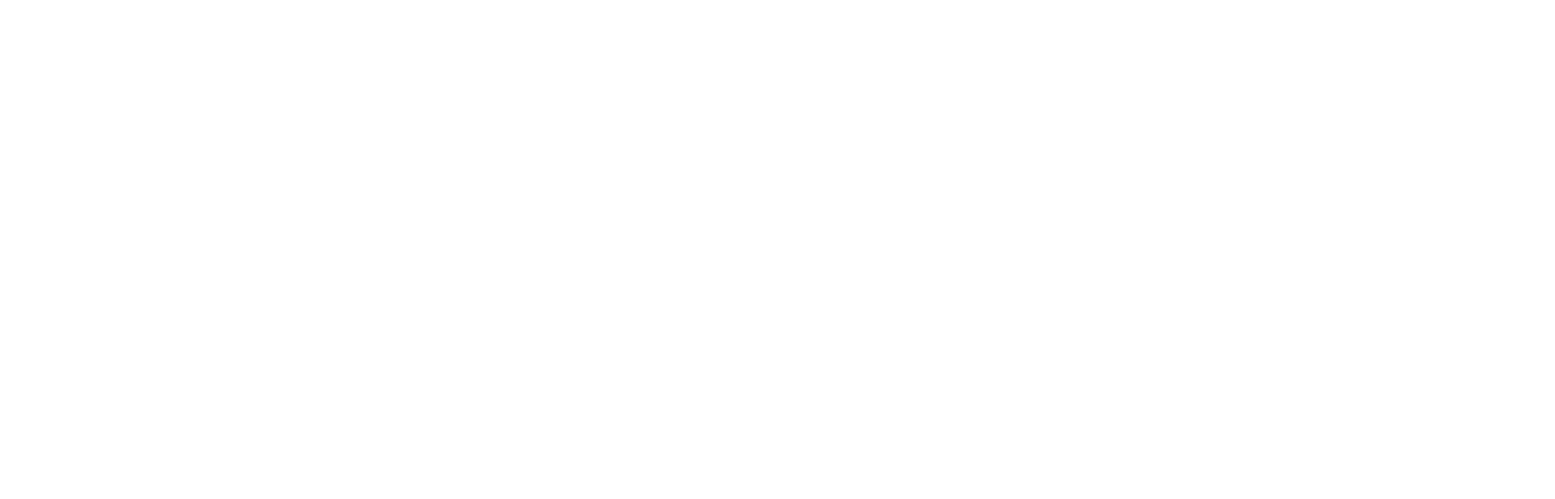 Logo White